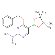 4-Benzyloxy-2-dimethylamino-pyrimidine-5-boronic acid pinacol ester