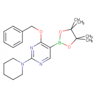 4-Benzyloxy-2-piperidine-1-yl-pyrimidine-5-boronic acid pinacol ester