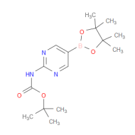 2-(tert-Butoxycarbonylamino)pyrimidine-5-boronic acid, pinacol ester