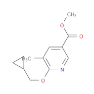 Methyl 6-(cyclopropylmethoxy)-5-methylnicotinate